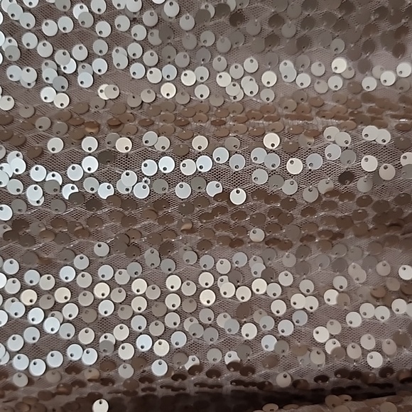 NWT Love On A Hangar Nude Sequince V Neck Tank Top Sz M - Picture 5 of 9